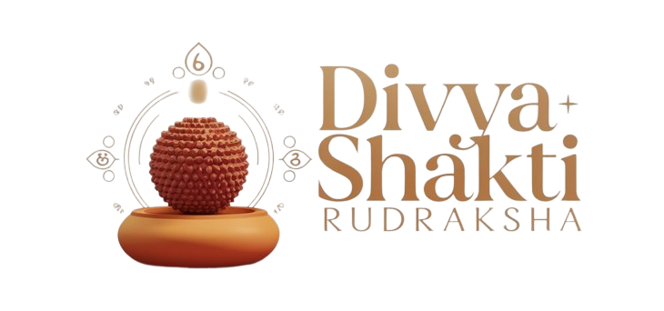 Divya Shakti Rudraksha